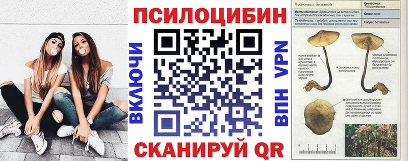 наркотики  Чкаловск  мориарти телеграм  Галлюциногенные грибы мухоморы 